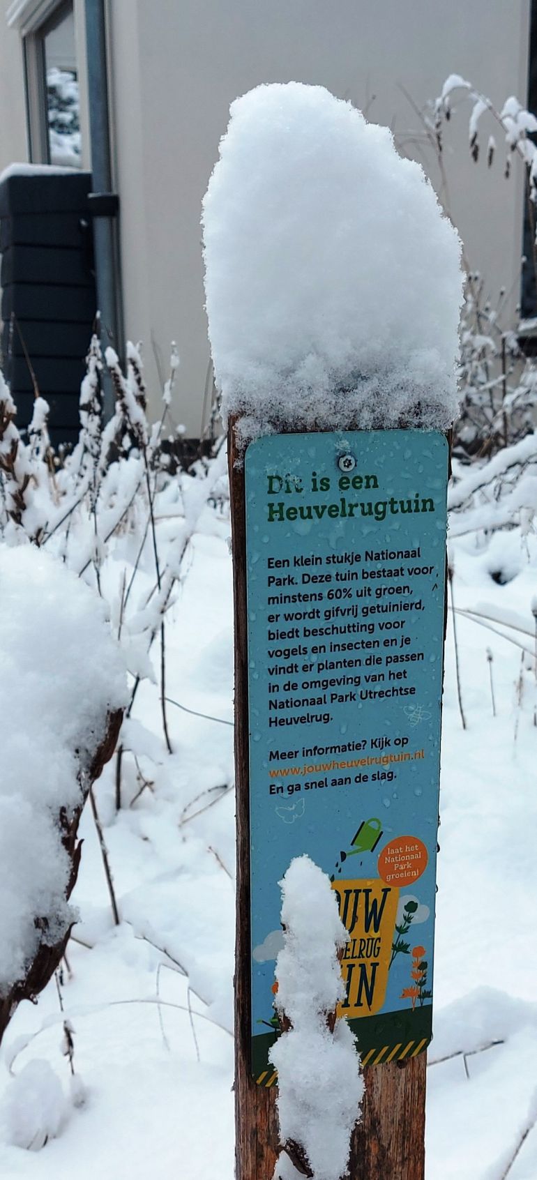 Een heuvelrugtuin in de sneeuw