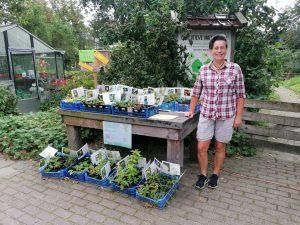 Vrijwilliger Jolande staat bij de tafel waarop alle inheemse plantjes staan die je bij De Groene Inval kunt kopen