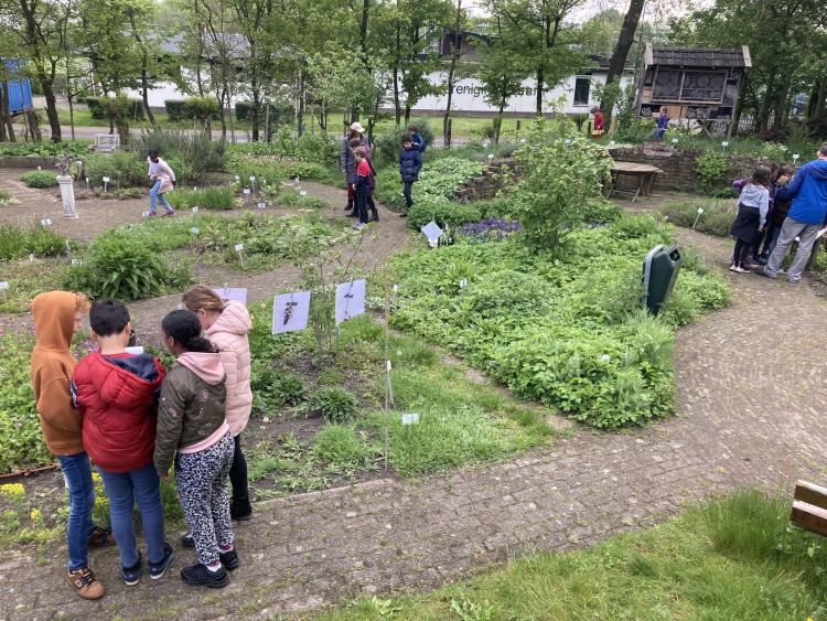 Schoolkinderen in de natuur- en heemtuin
